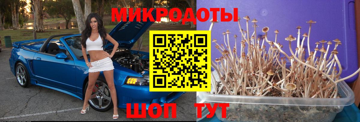 Псилоцибиновые грибы ЛСД Назарово